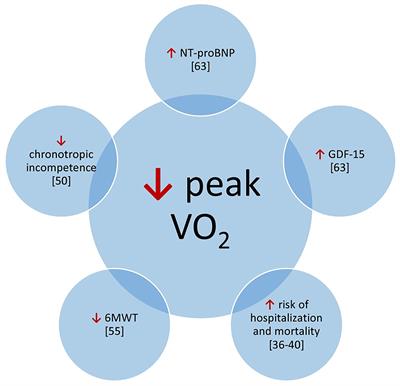 Heart Failure Risk Predictions and Prognostic Factors in Adults With Congenital Heart Diseases